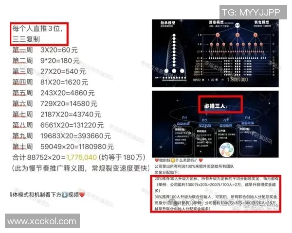 河南“亿美国际”传销案件曝光：市场监管部门查处高额回报骗局，揭秘层级返利模式